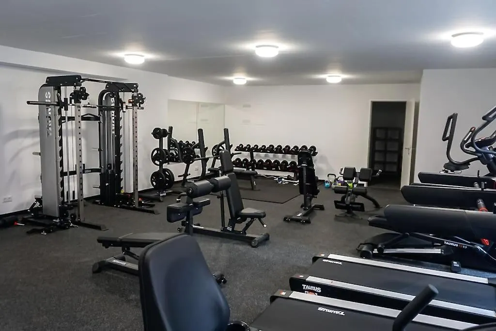 Gemuetliches &Stilvolles Apartment Free Fitness Free Garage Viena